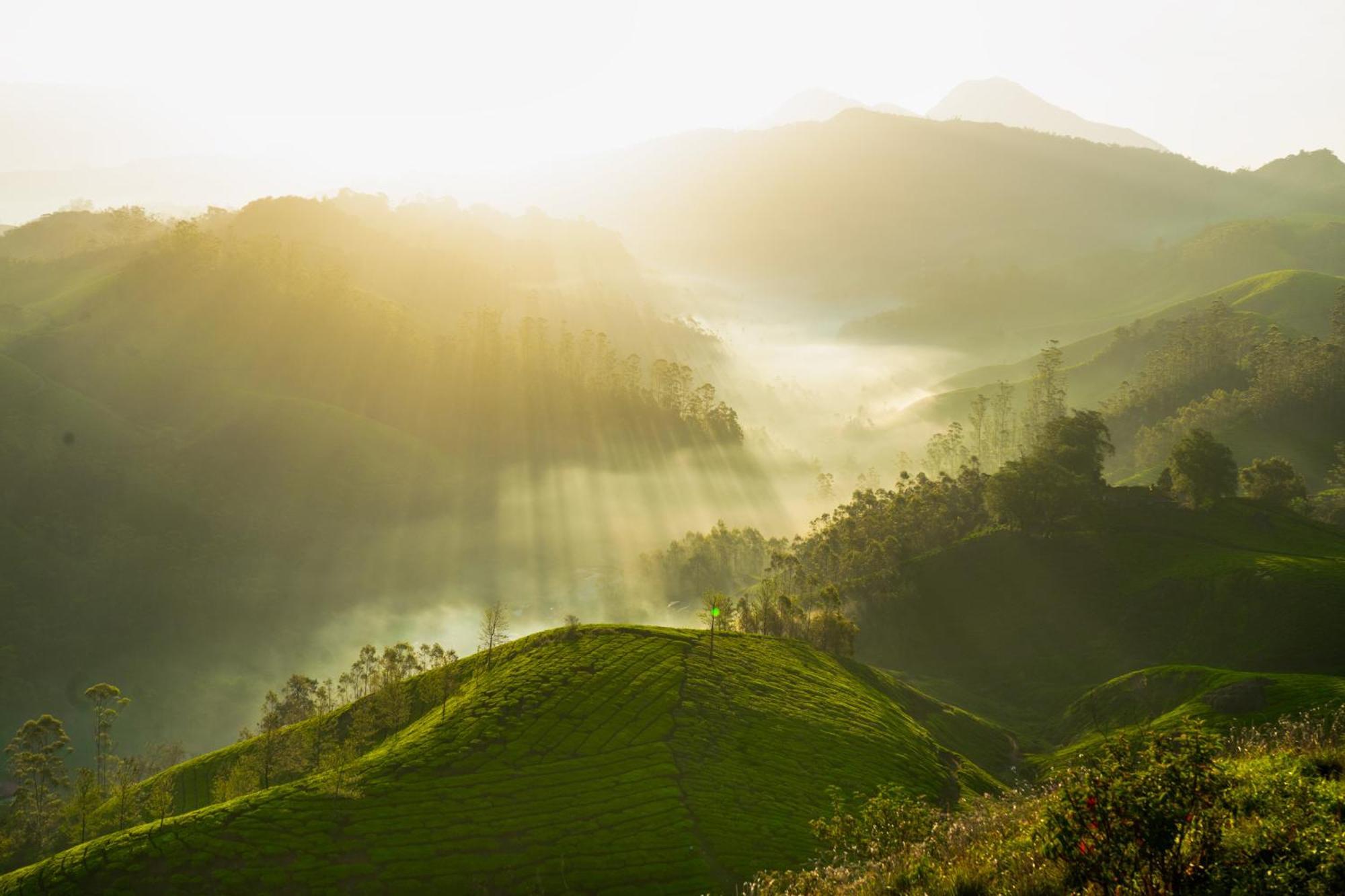 Camelot Resort Munnar Luaran gambar
